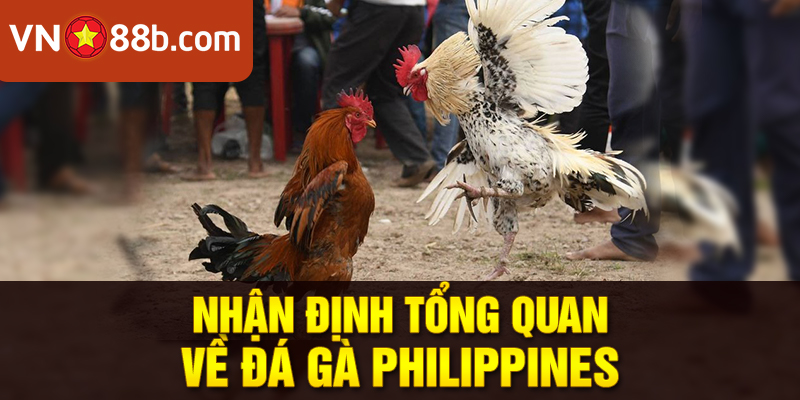 Nhận định tổng quan về đá gà Philippines
